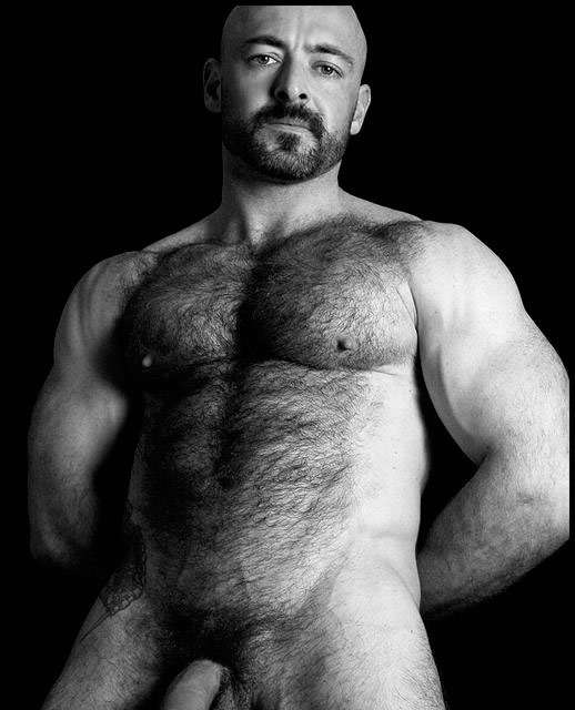 Featured bear