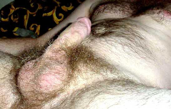 Featured bear