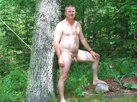 Featured bear
