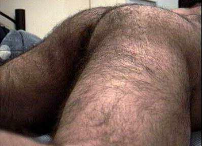 Featured bear