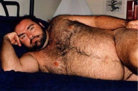 Featured bear