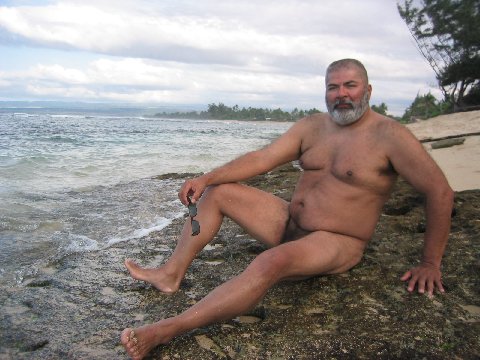 Featured bear