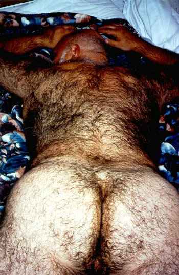 Featured bear