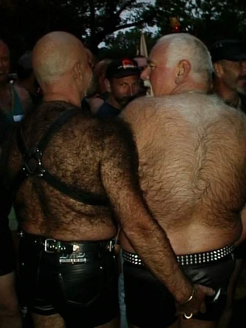 Featured bear