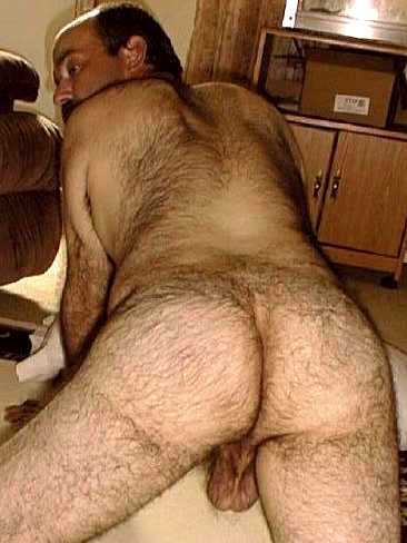 Featured bear