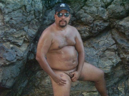 Featured bear