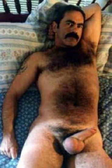 Featured bear