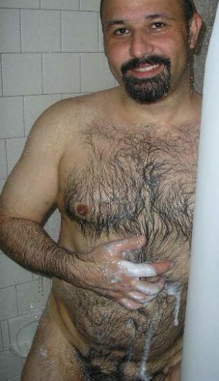 Featured bear