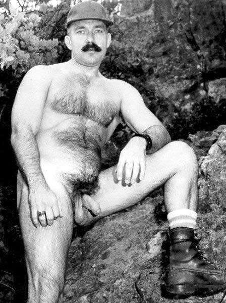 Featured bear