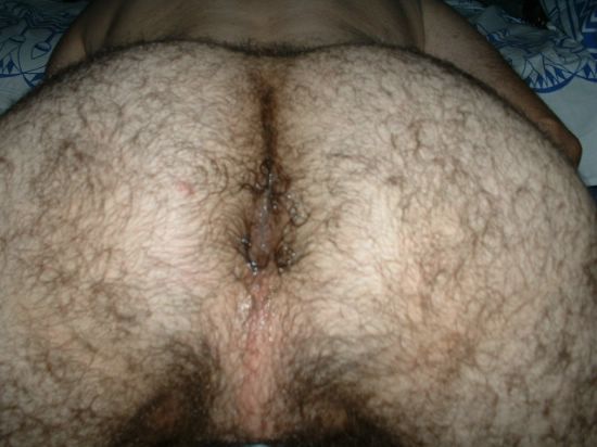 Featured bear