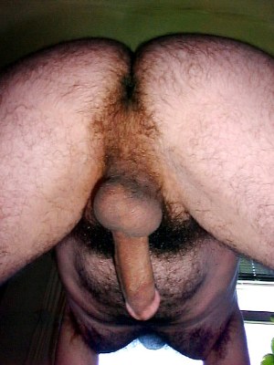 Featured bear