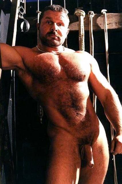 Featured bear