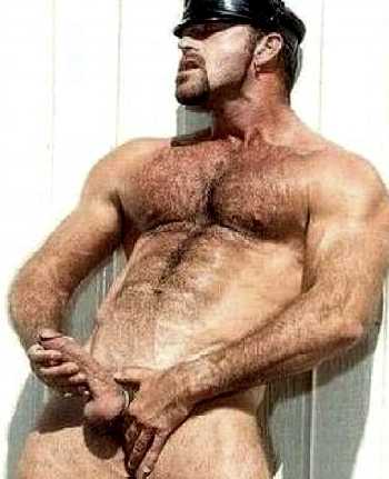 Featured bear