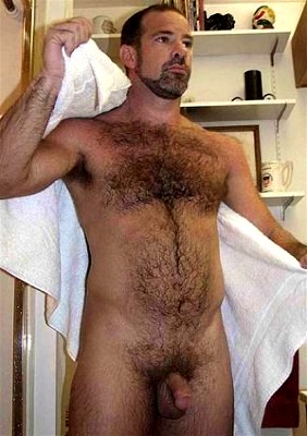 Featured bear