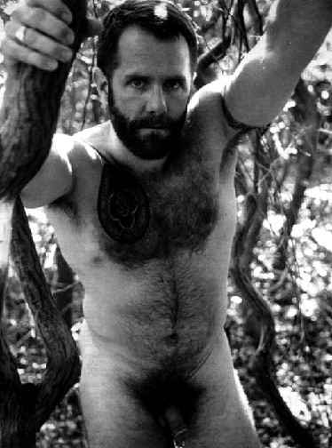 Featured bear