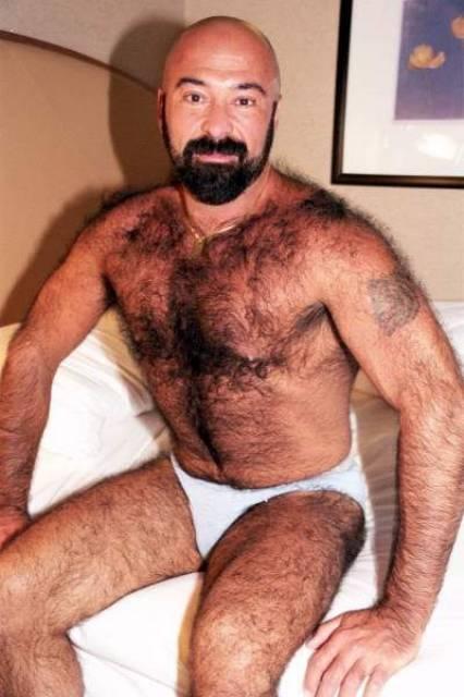 Featured bear