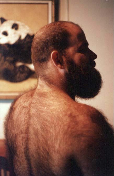 Featured bear