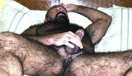 Featured bear