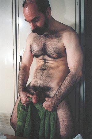 Featured bear