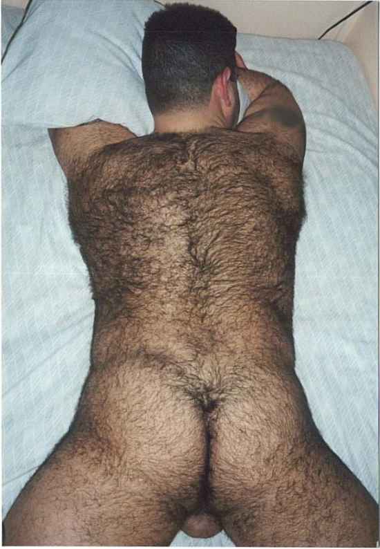 Featured bear