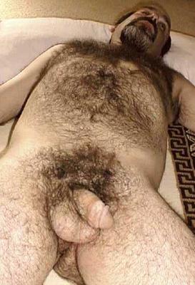Featured bear