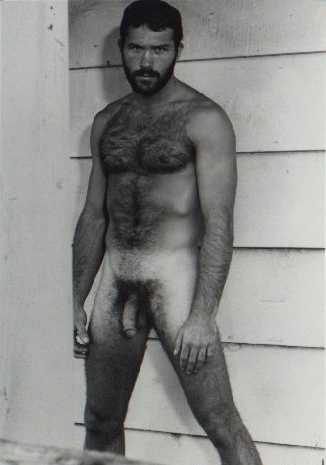 Featured bear