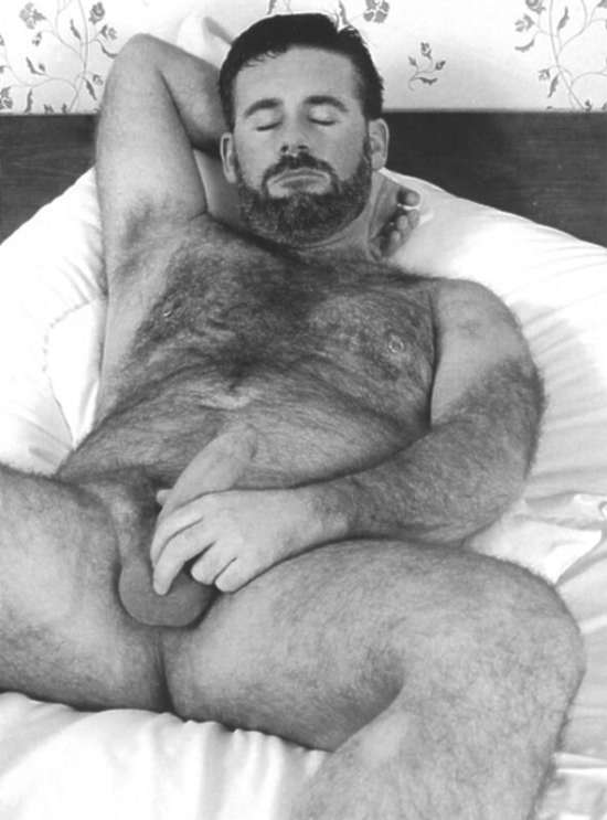 Featured bear
