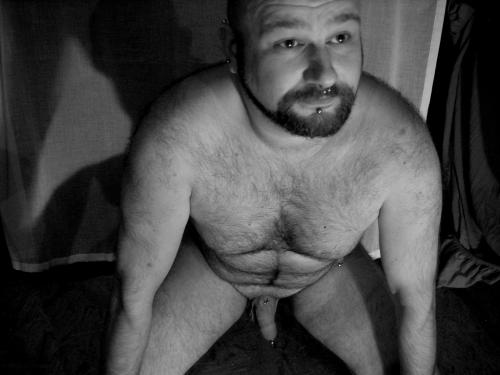 Featured bear