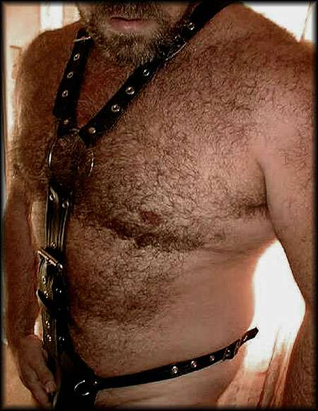 Featured bear