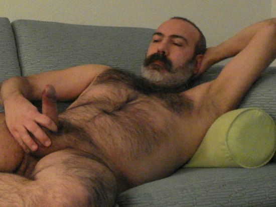 Featured bear