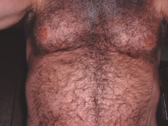 Featured bear