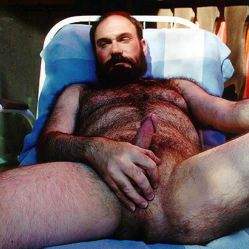 Featured bear