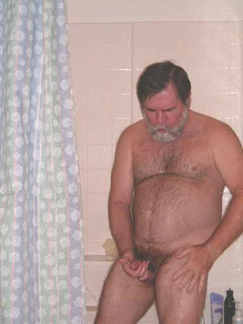 Featured bear
