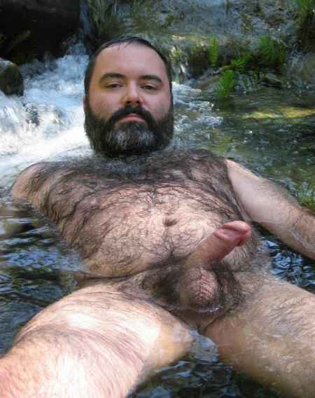 Featured bear