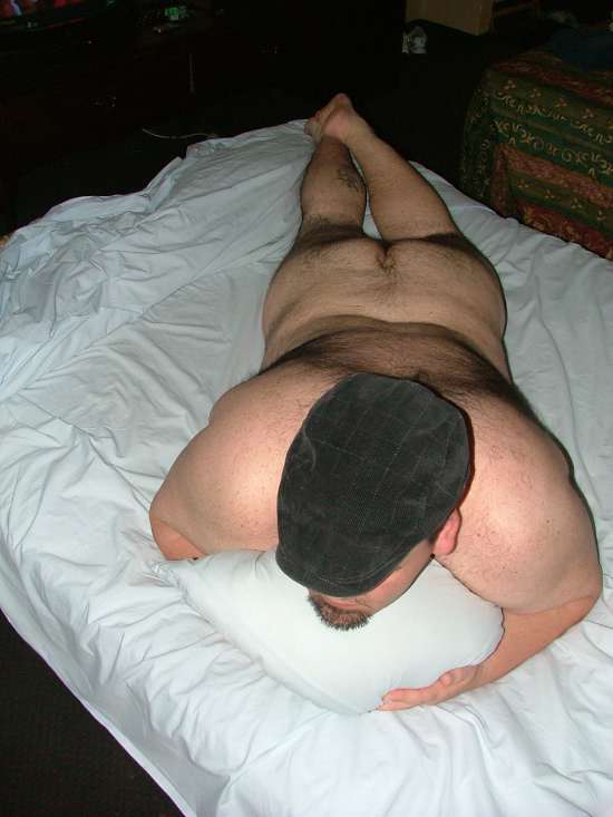 Featured bear