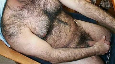 Featured bear