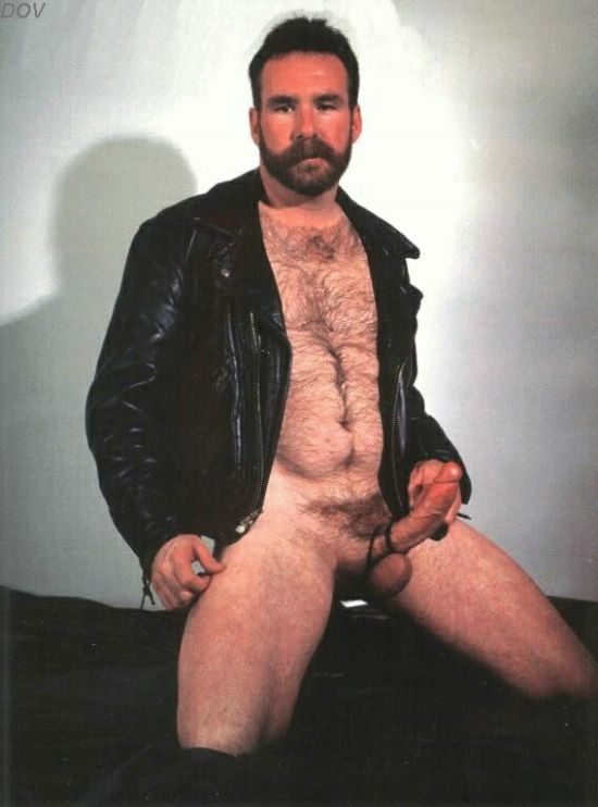 Featured bear