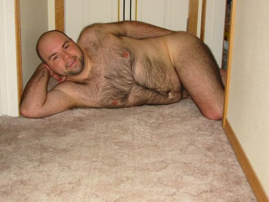 Featured bear