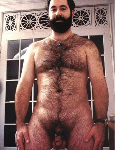 Featured bear