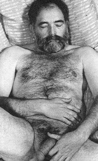 Featured bear
