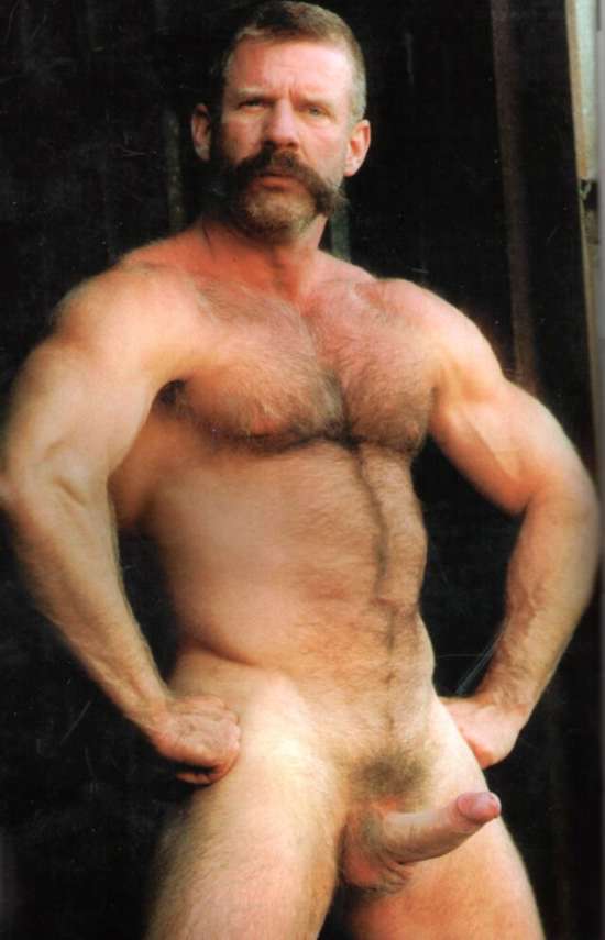 Featured bear
