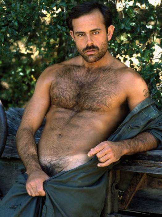 Featured bear