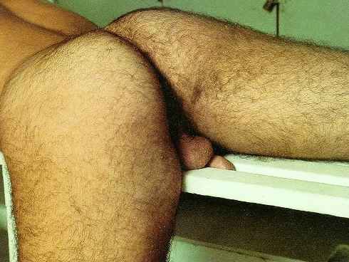 Featured bear