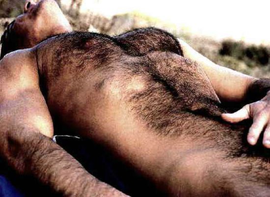 Featured bear