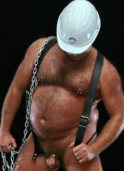Featured bear