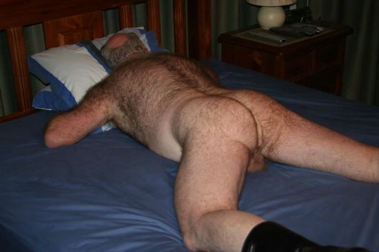 Featured bear