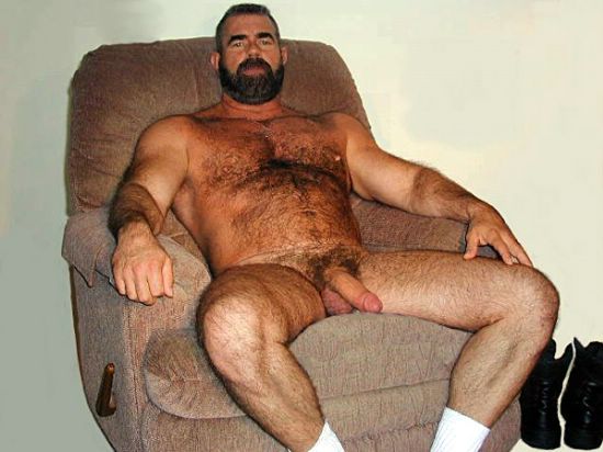 Featured bear