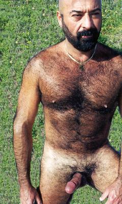 Featured bear