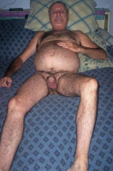 Featured bear