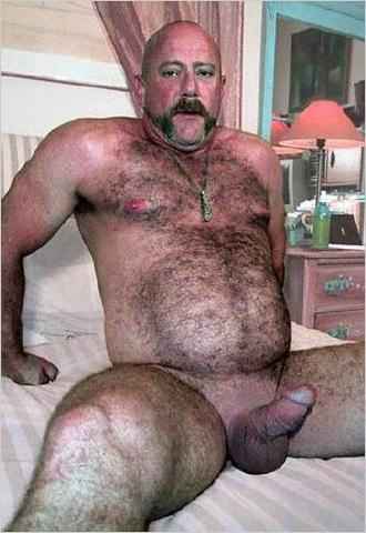Featured bear